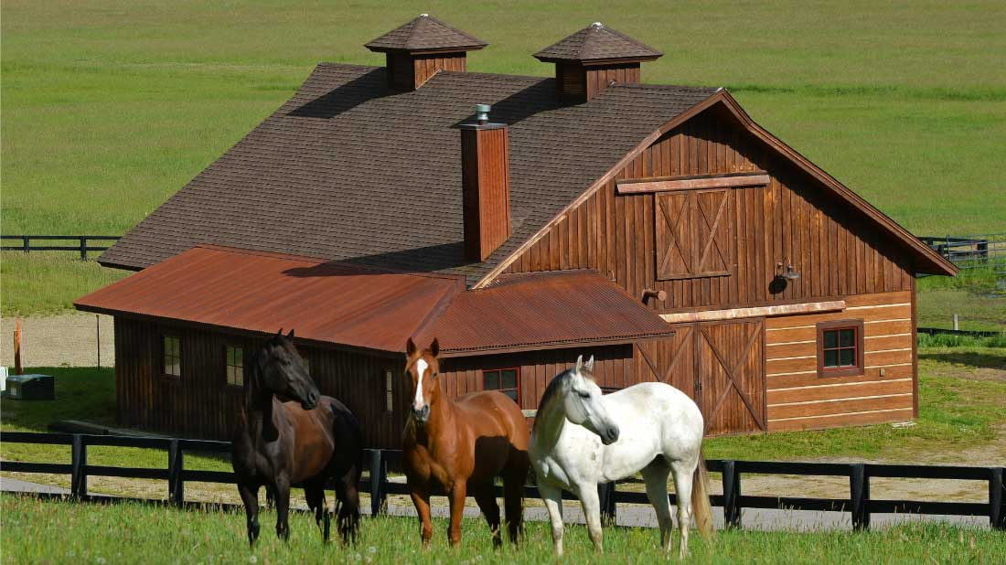 Equestrian Facilities and Endless Riding Steamboat Springs Colorado Real Estate